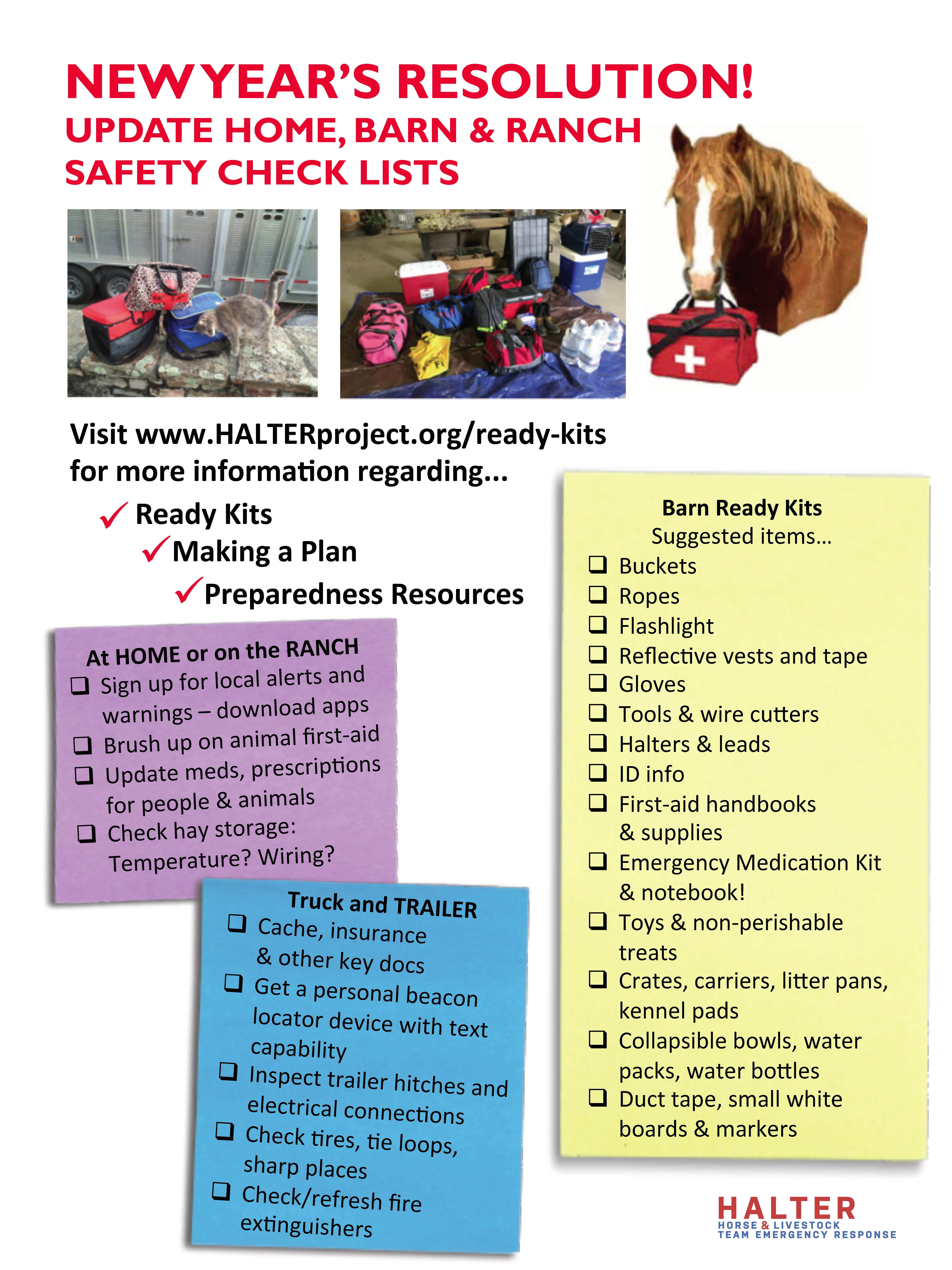 New Year's Resolution Update Safety Check Lists